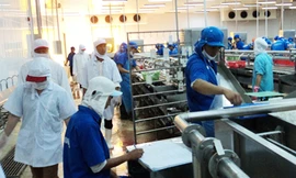 BIDV hỗ trợ Công ty Bình An tái cơ cấu