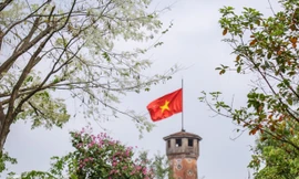 Ngắm hoa sưa 'phủ tuyết' phố phường Hà Nội