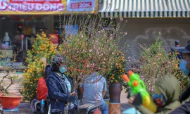 Nắng lên, tiểu thương 'ôm' đào quất ngóng người mua