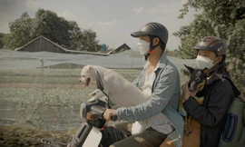 Bùi Công Nam khiến Vnet 'ngẹn lời' khi Tết chỉ cần về nhà, gặp lại người thân đã là đủ đầy