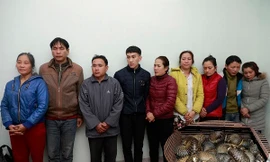 Các đối tượng bị bắt giữ trong vụ bắt giữ số lượng tê tê mới đây ở Hà Tĩnh, bà Hường đứng ngoài cùng bên phải