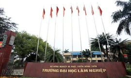Bộ Giáo dục thanh tra 4 trường đại học
