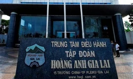 Tập đoàn HAGL bị Kiểm toán Nhà nước kiến nghị nộp thêm trên 106,4 tỷ đồng tiền thuế tăng thu.