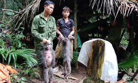 2 trong 5 đối tượng giết hại vọoc xám bằng súng tự chế bị cơ quan chức năng bắt giữ.