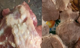 Thịt lợn nổi đầy hạch trắng được phát hiện trong bếp ăn trường Mầm non Thanh Khương. Ảnh: Phụ huynh cung cấp 