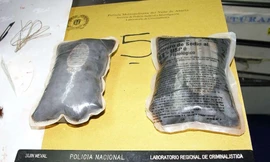 Những gói heroin lỏng được lấy ra khỏi bụng chó con. Ảnh: DEA.