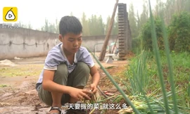 Cậu bé dành cả tuổi thơ bán hành, hiến tủy cứu em trai mắc bệnh thiếu máu