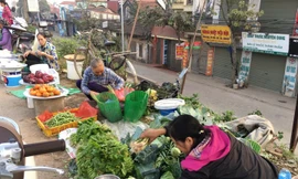 Giá rau xanh rớt giá so với trước Tết. Ảnh: Đ.H