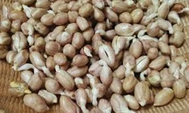 Những thực phẩm 'cực quen' dễ gây ngộ độc, thậm chí mất mạng