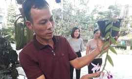 Anh Tuất đang giới thiệu lan cho khách đến mua và tham quan tại vườn 