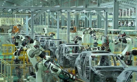 'Giảm 50% lệ phí trước bạ cho ô tô nội là cần thiết'