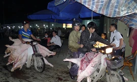 Thịt mất vệ sinh và tù mù chất cấm