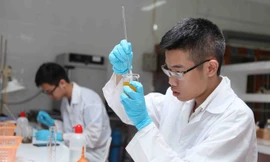 Đinh Quang Hiếu. (Ảnh: Quý Trung/TTXVN)