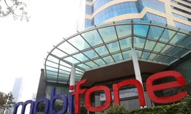 Sẽ xử lý nghiêm việc công bố chậm kết luận vụ Mobifone mua AVG