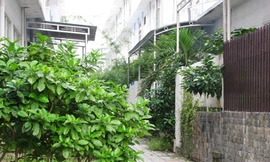 Méo mó những đô thị kiểu mẫu