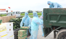 Chuyển nhu yếu phẩm phục vụ đời sống hàng ngày đến người dân trong các khu cách ly tại Hà Nam - Ảnh: HN