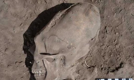 Phát hiện sọ ‘người ngoài hành tinh’ 1.000 tuổi?