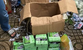 Triệt phá đường dây ma túy khủng từ Campuchia về Sài Gòn