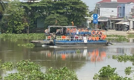 Cảnh báo cá sấu xuất hiện trên sông Sài Gòn