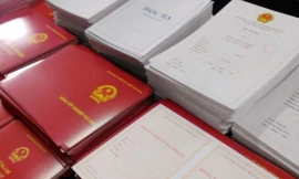 Đề nghị chuyển vụ nhiều giáo viên dạy lái xe dùng bằng giả sang Công an TPHCM