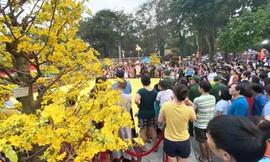 Người Sài Gòn ùn ùn đi chơi Tết sớm