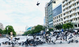 Cận cảnh những con đường được đề xuất làm phố đi bộ ở TPHCM