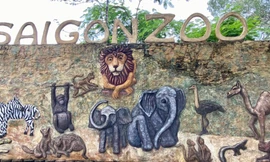 Bên trong bếp ăn sở thú lớn nhất Sài Gòn mùa COVID-19