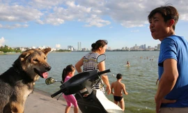 nhiều người dân Thủ đô thích thú bế chó cưng ra Hồ Tây (quận Tây Hồ) cùng vui chơi và tắm giải nhiệt dù tấm biển cấm bơi được dựng ngay gần đó.