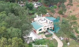 Xử lý vi phạm đất rừng Sóc Sơn: Cưỡng chế kiểu nửa vời?