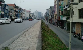 Ảnh: Trần Hoàng