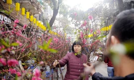 Chợ hoa Tết. Ảnh minh họa