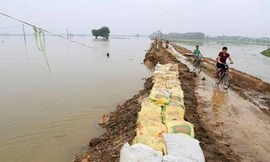 Ứng phó siêu bão, Hà Nội sẵn sàng phương án sơ tán dân ven sông