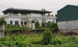 Khu đất 9ha khu vực đê Triều Viềng sát kênh đào Bắc Hưng Hải bị lấn chiếm xây dựng trái phép