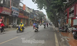 Di chuyển, chặt hạ gần 100 cây xanh để mở đường Vành đai 1