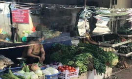 Nhiều loại rau tăng mạnh khiến người tiêu dùng giật mình. Ảnh minh họa