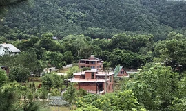 Chủ tịch Hà Nội: Công khai trách nhiệm vụ đất rừng Sóc Sơn trước Tết