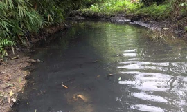 Dầu thải làm ô nhiễm suối Trâm - một nguồn nước nhà máy nước sông Đà sử dụng