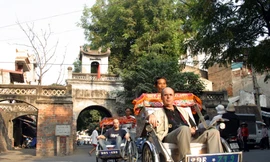 Hàng loạt công ty du lịch Việt bị phạt vì không hiểu luật