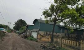 Sau vụ hỏa hoạn 8 người chết, lộ diện hàng nghìn nhà xưởng trực chờ... cháy