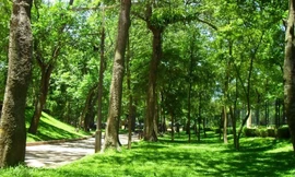 Hà Nội đề xuất xây dựng công viên rừng trên đất di dời nhà máy