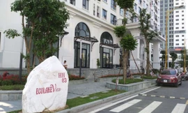 Đấu giá trực tuyến 82 căn chung cư dự án Eco Lakeview