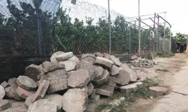 Hành tung bí ẩn của hàng vạn m2 gạch vỉa hè Hà Nội: Mỗi viên gạch giá bao nhiêu?