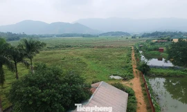 Cận cảnh 2 dự án giao đất trái luật của người nhà Giám đốc Sở KH&ĐT Hà Nội