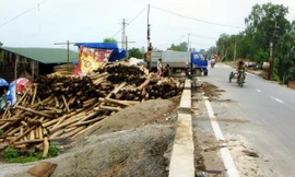 Hà Nội: Quyết liệt xử lý các trường hợp xâm phạm đê điều