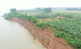 Hà Nội công bố tình huống khẩn cấp sạt lở đê tại Ba Vì