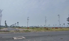 Dự án bỏ hoang tại huyện Mê Linh. Ảnh minh họa