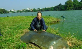 'Hồ Gươm không phải bể cá để thích thả gì thì thả'