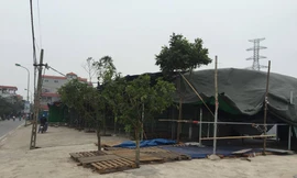 Hà Nội: Lấn chiếm đất nông nghiệp dựng lều bán hàng