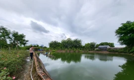 Khu đất trũng được người dân cải tạo, xây dựng theo dự án được duyệt