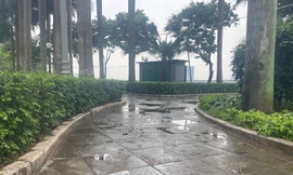 Xác minh nguyên nhân đổ dầu tại vườn hoa phố Trích Sài